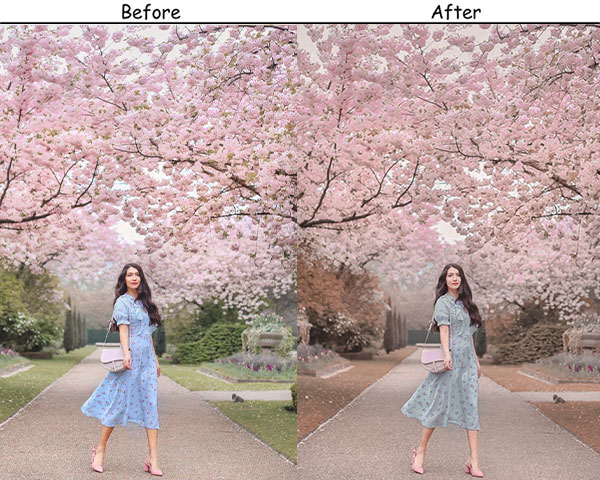 Cherry Blossom Spring Preset