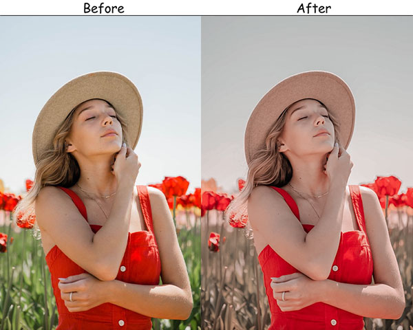 Pastel Spring Preset
