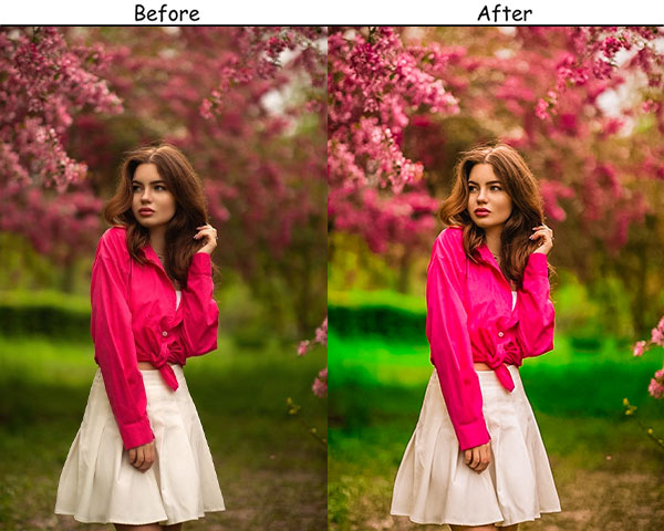 Spring Flower Preset
