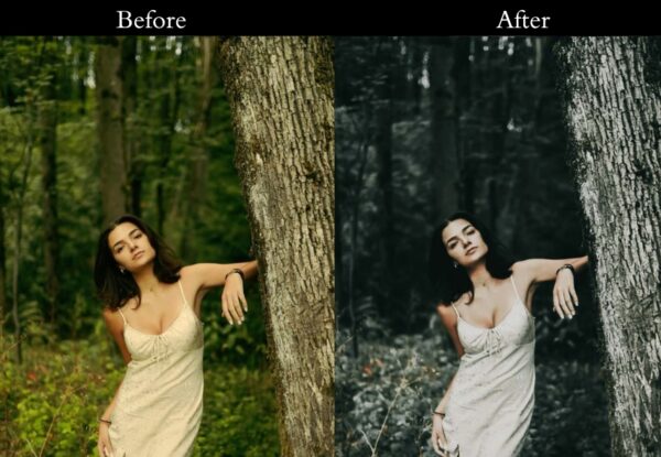 100+ Vintage Presets - Image 7