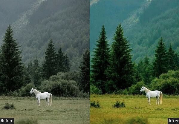 Aesthetic Nature
