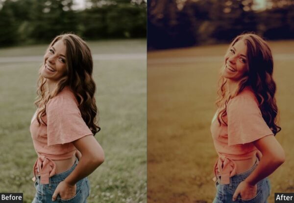 150+ Moody Presets - Image 86