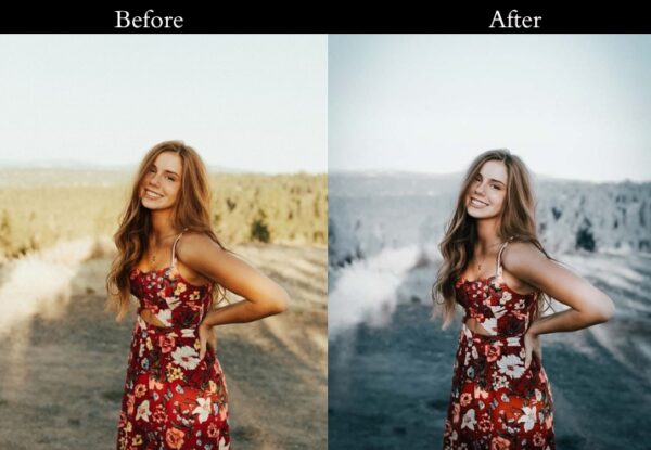 100+ Cinematic Presets - Image 63