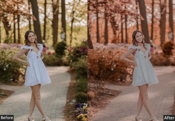 150+ Moody Presets - Image 101