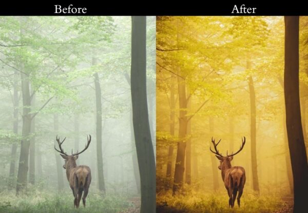 50+ Nature Presets - Image 26