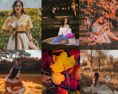 Autumn Presets
