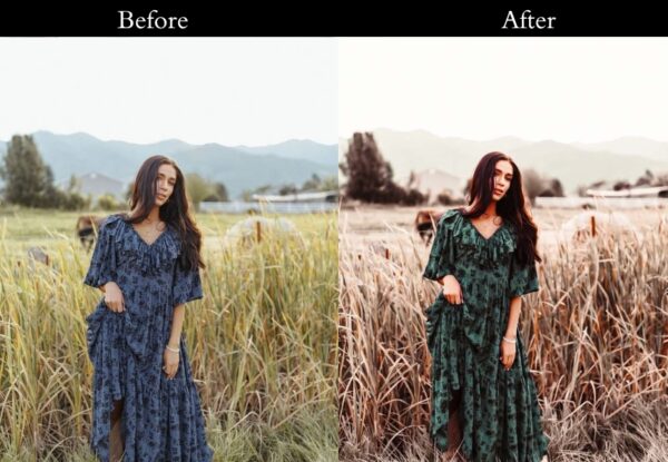 100+ Vintage Presets - Image 53