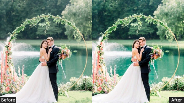 150+ Wedding Presets - Image 98