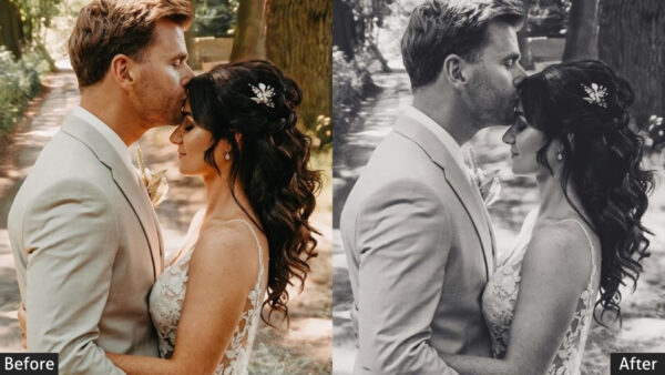 150+ Wedding Presets - Image 78