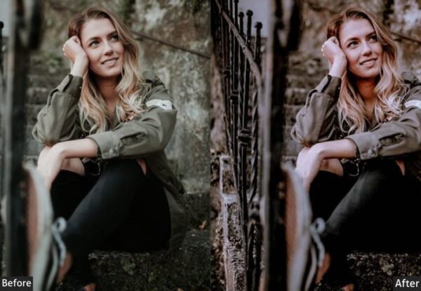 150+ Moody Presets - Image 103