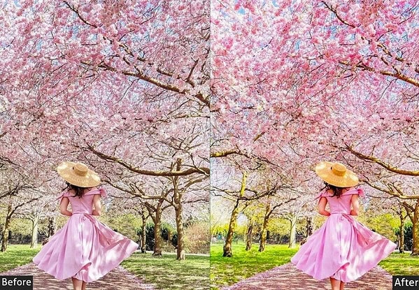 Bright Spring