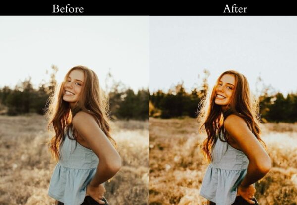 100+ Vintage Presets - Image 67