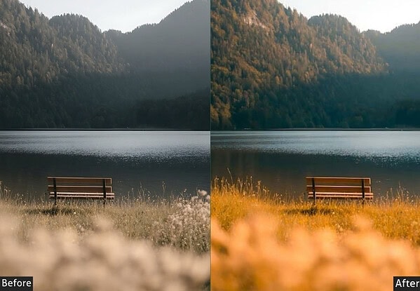 Calm Nature