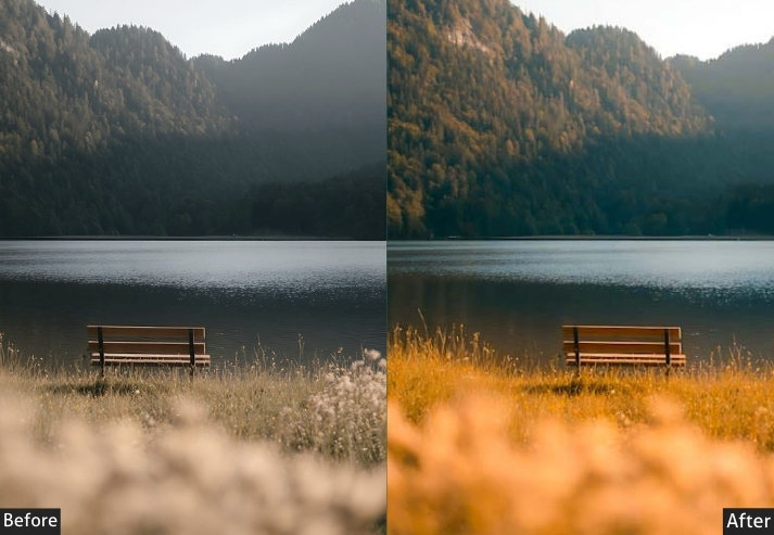 Calm Nature