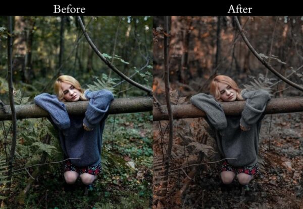 150+ Moody Presets - Image 62