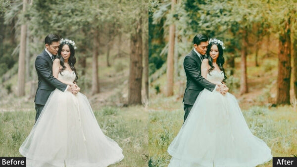 150+ Wedding Presets - Image 71