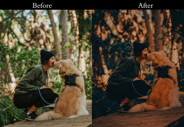 150+ Moody Presets - Image 59