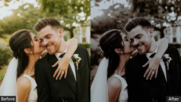 150+ Wedding Presets - Image 59