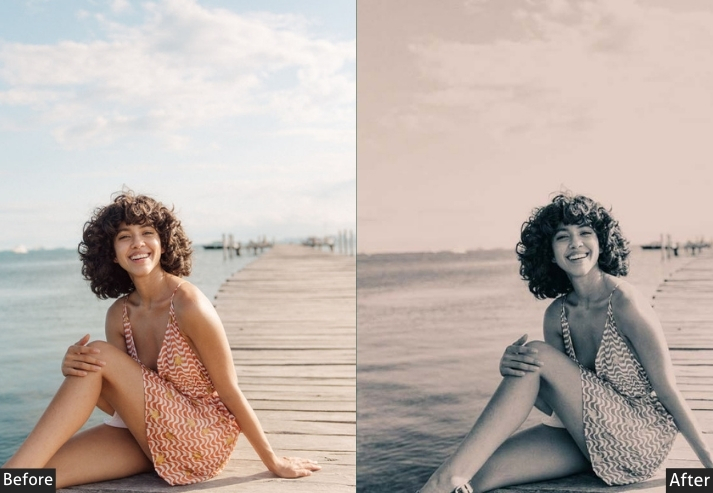 100+ Vintage Presets Bundle - Image 109