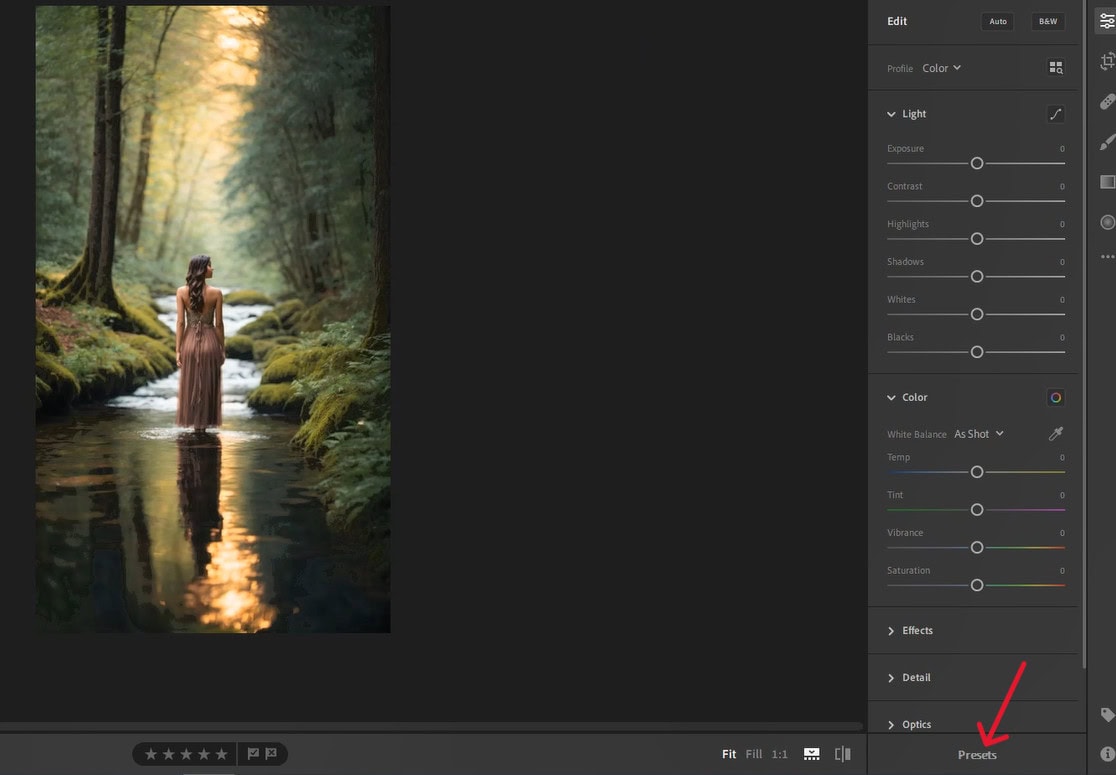 Click on Presets