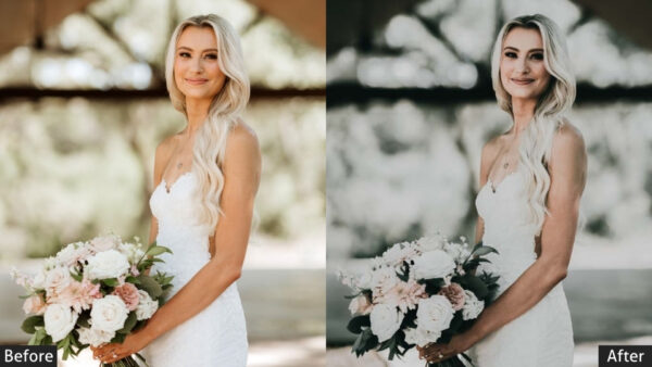 150+ Wedding Presets - Image 53