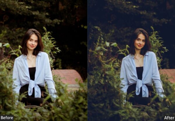 150+ Moody Presets - Image 105