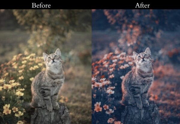 50+ Nature Presets - Image 38