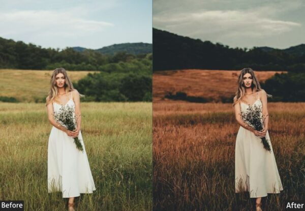 150+ Moody Presets - Image 88