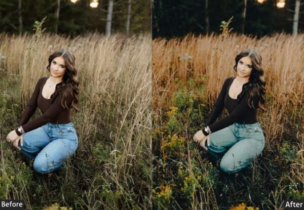150+ Moody Presets - Image 89
