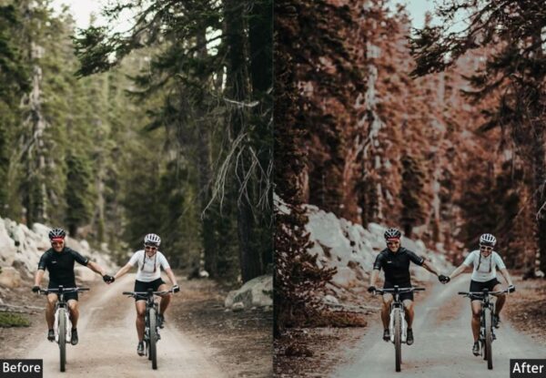 150+ Moody Presets - Image 90
