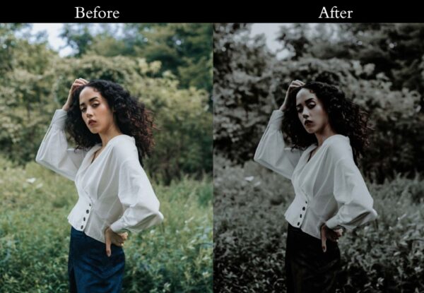 100+ Vintage Presets - Image 78