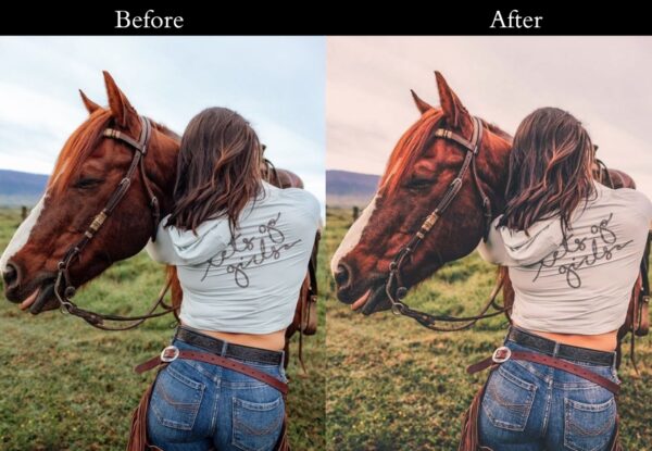 100+ Vintage Presets - Image 49
