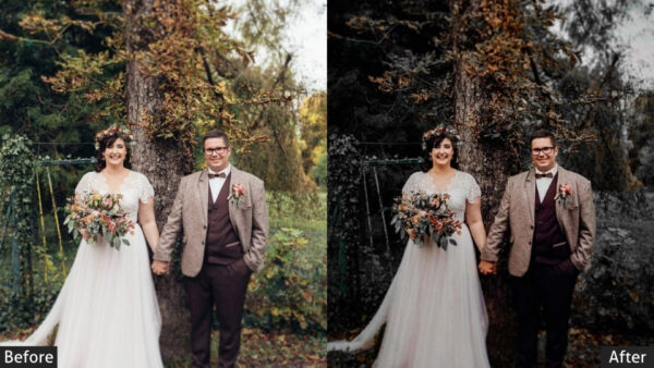 150+ Wedding Presets - Image 56