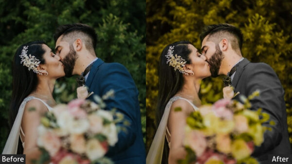 150+ Wedding Presets - Image 62