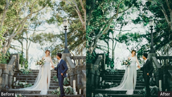 150+ Wedding Presets - Image 51