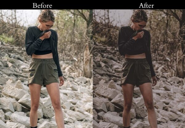 150+ Moody Presets - Image 60