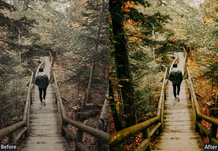 Filmy Autumn