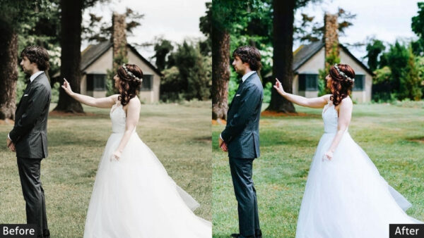 150+ Wedding Presets - Image 101