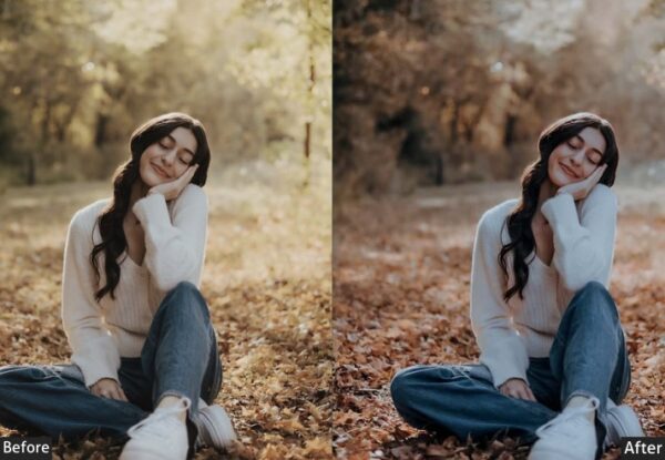 150+ Moody Presets - Image 98