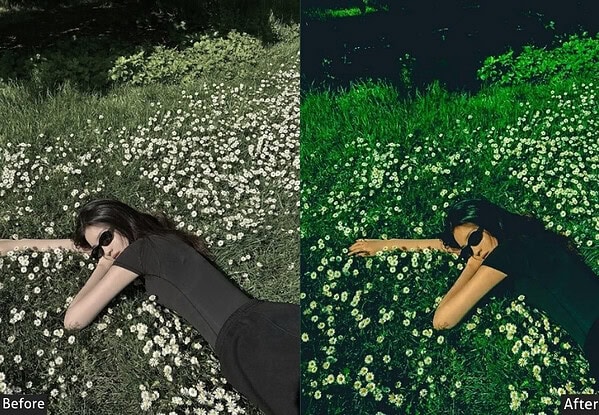 Fujifilm Spring