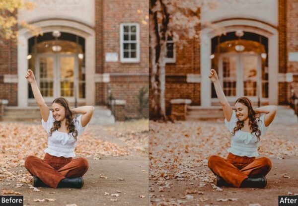 150+ Moody Presets - Image 82