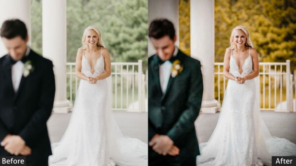 150+ Wedding Presets - Image 60