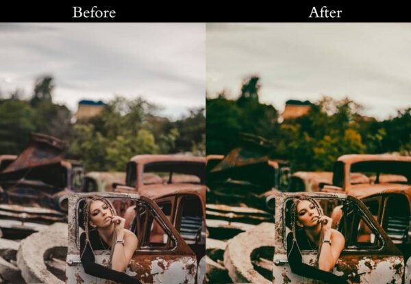 100+ Vintage Presets - Image 46