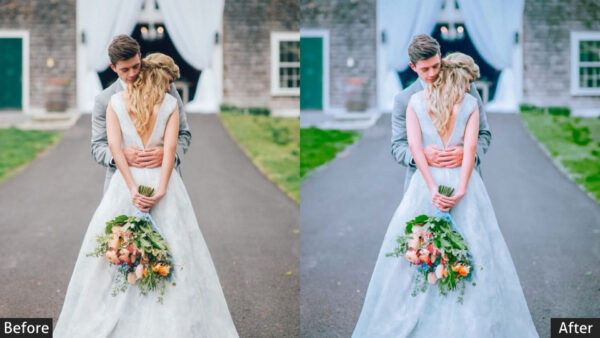 150+ Wedding Presets - Image 74