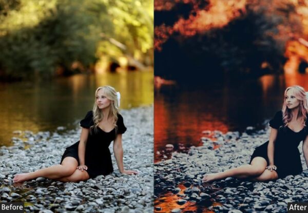 150+ Moody Presets - Image 8