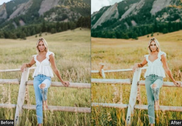 150+ Moody Presets - Image 99