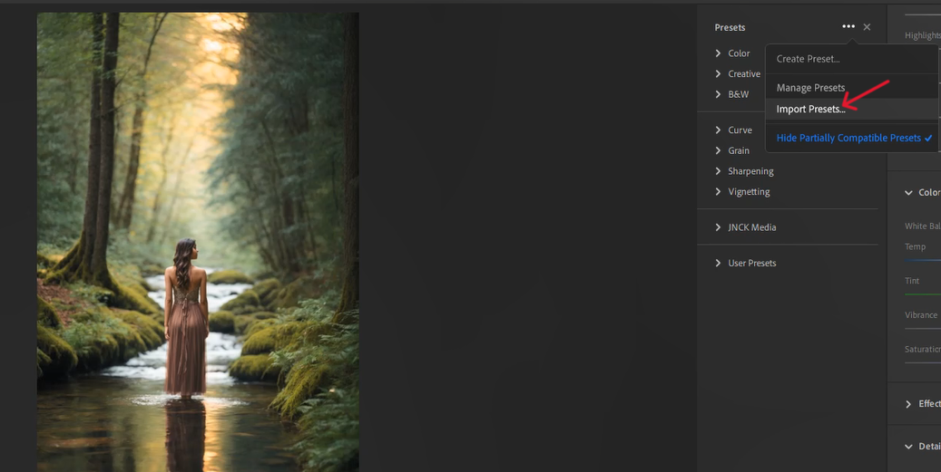Import Presets