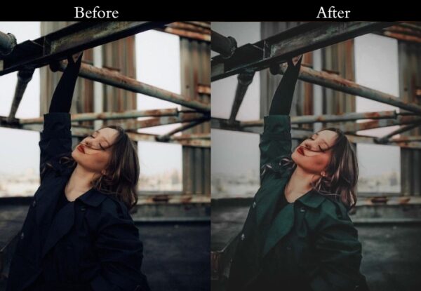150+ Moody Presets - Image 61