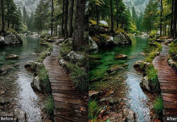 Jungle Nature