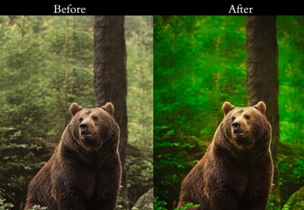 50+ Nature Presets - Image 34